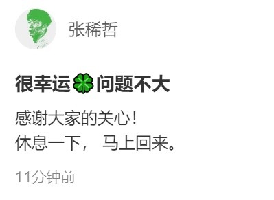 张稀哲无对抗扭伤退场 社媒报平安:问题不大,马上回来