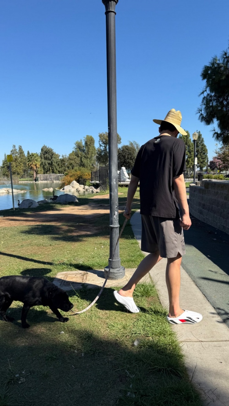 杨瀚森社媒晒遛狗照 洛杉矶特训对位科洛克又打马克西球局